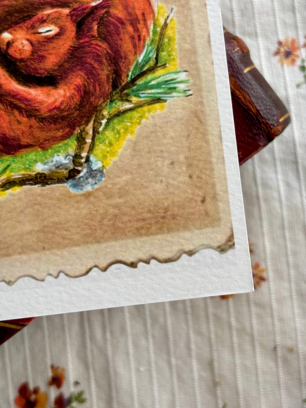 Cartes postal les Bonheur de l’automne