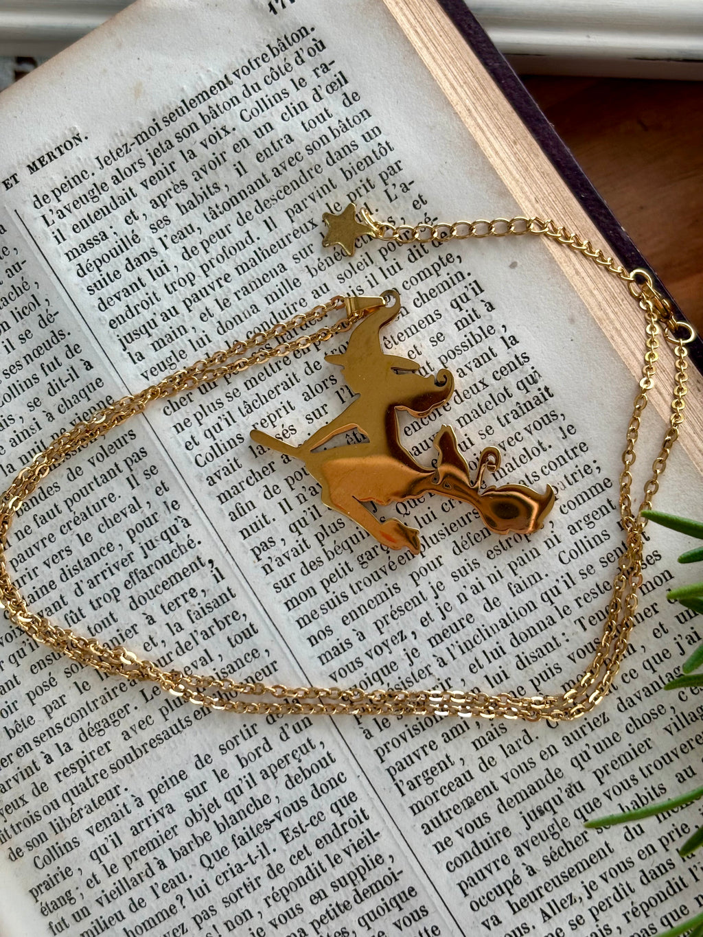 Collier grande sorcière sur son balai