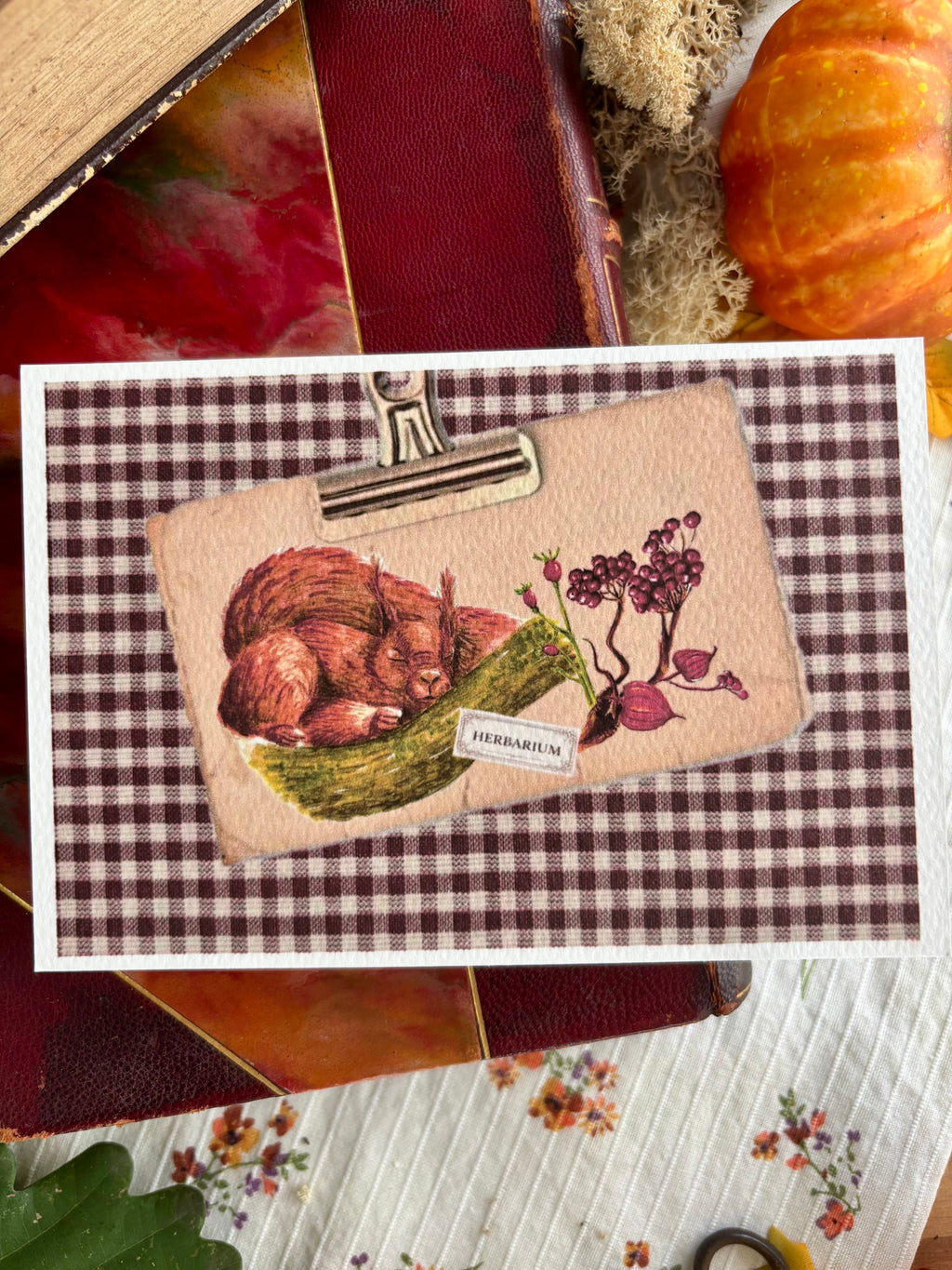 Carte postal Herbarium