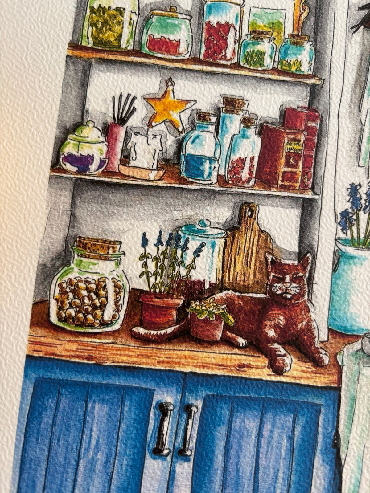 Illustrations cuisine de sorcière  d’été