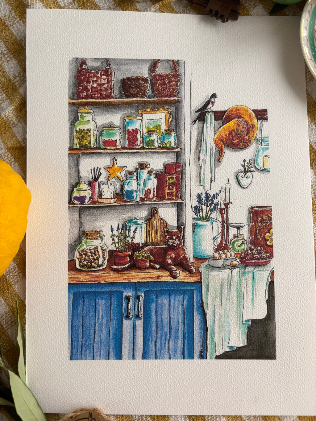 Illustrations cuisine de sorcière  d’été