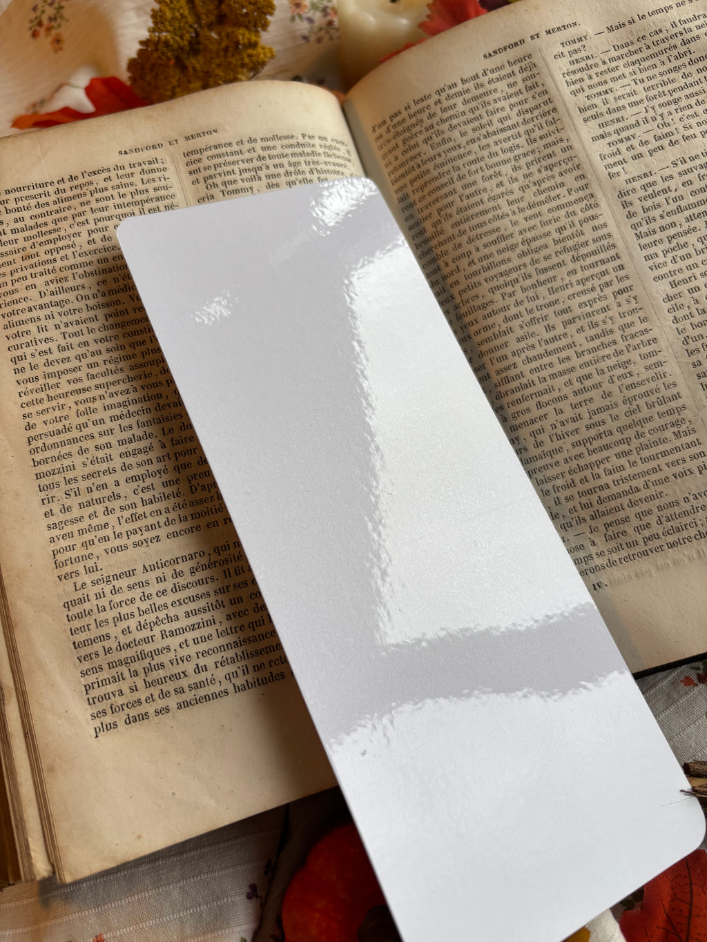 Marque-page illustré plastifié — feuilles d’automne 📚✨