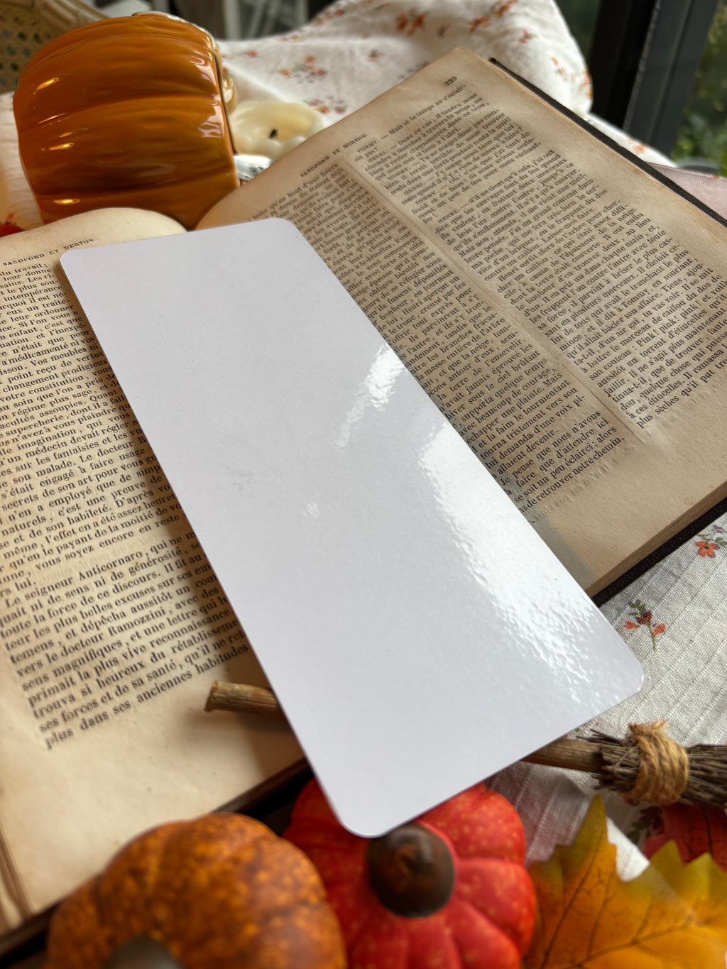 Marque-page illustré plastifié — magic and pumpkin spice 📚✨
