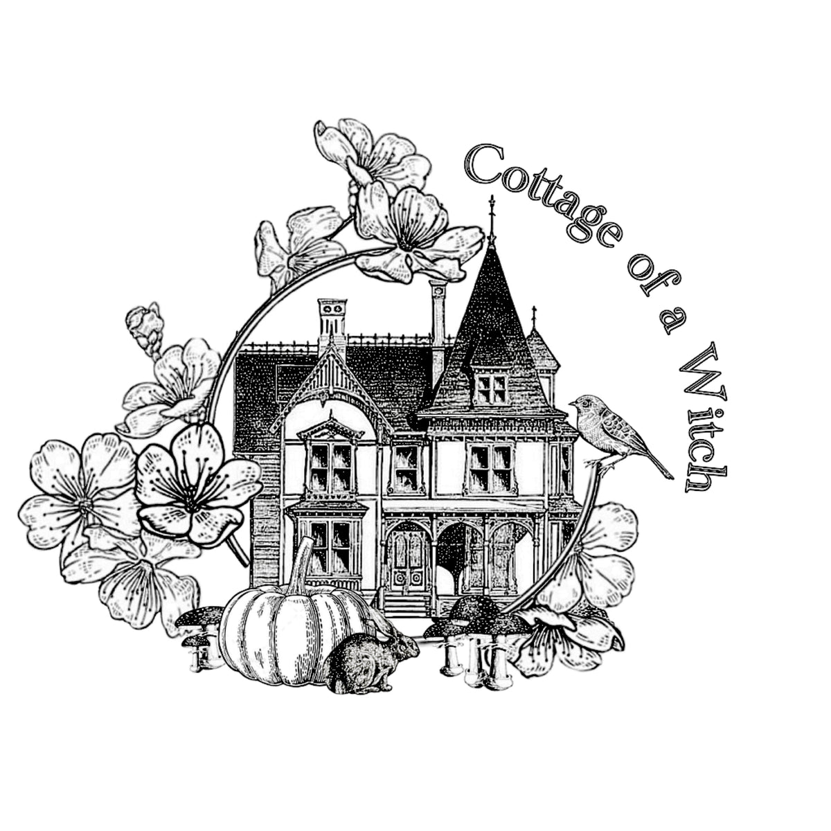 logo du footer